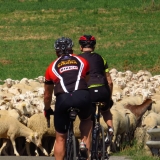 Bikecat-Spanish-Transpirinaica-Cycling-Tour-2017-081