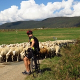 Bikecat-Spanish-Transpirinaica-Cycling-Tour-2017-082