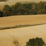 Bikecat-Spanish-Transpirinaica-Cycling-Tour-2017-171