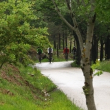 Bikecat-Transpirinaica-Cycling-Tour-2018-072