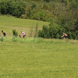 Bikecat-Transpirinaica-Cycling-Tour-2018-106