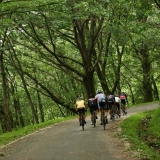 Bikecat-Transpirinaica-Cycling-Tour-2018-189