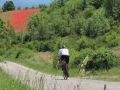Bikecat-Spanish-Transpirinaica-2019-109