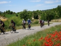 Bikecat-Spanish-Transpirinaica-2019-112