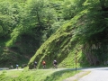 Bikecat-Spanish-Transpirinaica-2019-139