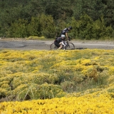 Bikecat-Transpirinaica-Tour-2016-034
