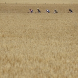 Bikecat-Transpirinaica-Tour-2016-111-1