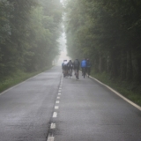 Bikecat-Transpirinaica-Tour-2016-190-1