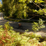 Mariposa-Sud-de-France-Tour-2022-Bikecat-Cycling-Tours-012