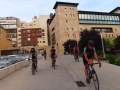 Bikecat-The-Conan-Tour-2019-002