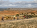 Bikecat-The-Conan-Tour-2019-018