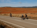 Bikecat-The-Conan-Tour-2019-057