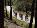 Bikecat-The-Conan-Tour-2019-062