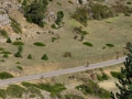 Bikecat-The-Conan-Tour-2019-118