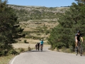 Bikecat-The-Conan-Tour-2019-120