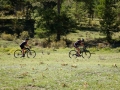 Bikecat-The-Conan-Tour-2019-127
