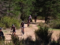 Bikecat-The-Conan-Tour-2019-149