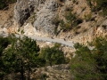 Bikecat-The-Conan-Tour-2019-155