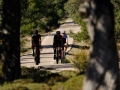 Bikecat-The-Conan-Tour-2019-186