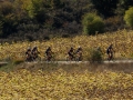 Bikecat-The-Conan-Tour-2019-207