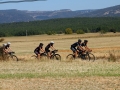 Bikecat-The-Conan-Tour-2019-227