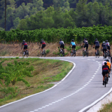 The_Fringe_Tour_2025-002