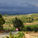 The_Fringe_Tour_2025-003