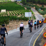 The_Fringe_Tour_2025-005