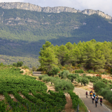 The_Fringe_Tour_2025-006