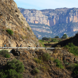 The_Fringe_Tour_2025-013