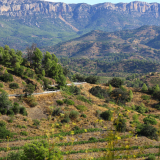 The_Fringe_Tour_2025-019