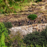 The_Fringe_Tour_2025-021