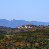 The_Fringe_Tour_2025-022