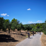 The_Fringe_Tour_2025-034