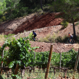 The_Fringe_Tour_2025-036