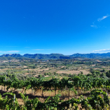 The_Fringe_Tour_2025-040