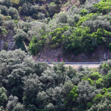 The_Fringe_Tour_2025-060