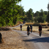 The_Fringe_Tour_2025-112