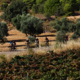 The_Fringe_Tour_2025-115