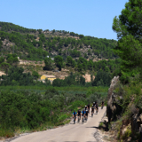 The_Fringe_Tour_2025-120