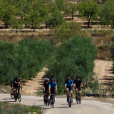 The_Fringe_Tour_2025-121