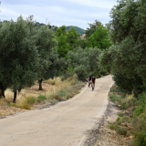 The_Fringe_Tour_2025-146