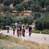 The_Fringe_Tour_2025-151