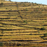 The_Fringe_Tour_2025-173