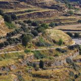 The_Fringe_Tour_2025-174