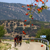 The_Fringe_Tour_2025-181