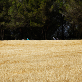 Tour-de-Girona-Costa-Brava-Bikecat-2023-092