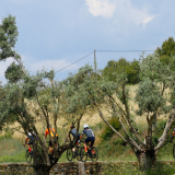 Tour-de-Girona-Costa-Brava-Bikecat-2023-095
