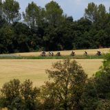 Tour-de-Girona-Costa-Brava-Bikecat-2023-097