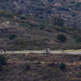 Tour-de-Girona-Costa-Brava-Bikecat-2023-150
